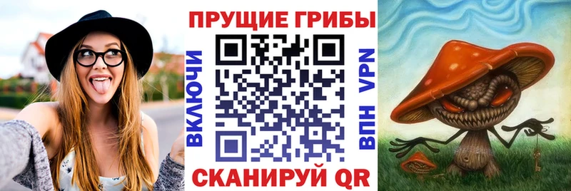 Галлюциногенные грибы GOLDEN TEACHER  Струнино 